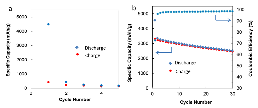 Electrochemical performance of composite electrodes