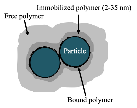 The bulk polymer differentiates into three physical states when in contact with a particle surface. Bound polymer and immobilized polymer layers on a particle surface are defined as the fixed polymer layer.