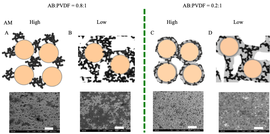 The schematics and SEM images of binder distributions between AB and AM at different electrode compositions. AB:PVDF = 0.8:1 at high AM loading (A) and low AM loading (B); AB:PVDF = 0.2:1 at high AM loading (C) and low AM loading (D). This distribution of binders between AB and AM has major implications of electrode performance. Scale bar: 20 μm.